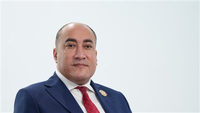 عمرو رشاد: التعديل الوزاري يعكس رؤية الرئيس لتعزيز الأداء ونجاحه يقاس بنتائج ملموسة للمواطن - الخليج الان