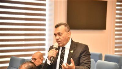 بعد التعديل الوزاري.. مرزوق: على الحكومة الاهتمام بالإسكان الاجتماعي وتطوير المناطق غير المخططة - الخليج الان