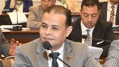 مدحت الكمار: التعديل الوزاري يؤكد جدية الحكومة لتحقيق متطلبات المواطن - الخليج الان