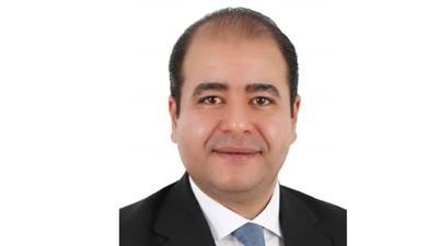 عبد الحميد العمدة يكتب: المستشار محمود فوزي.. الذي «لا أعرفه»! - الخليج الان