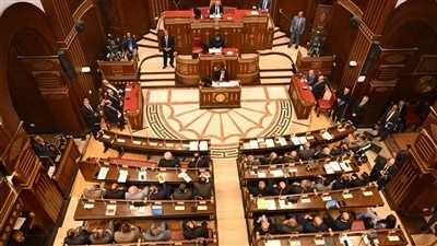 الشيوخ يحيل الأحد اقتراح النائبة نيفين فارس بشأن استكمال امتداد الطريق الصحراوي من الأقصر حتى أسوان للحكومة - الخليج الان