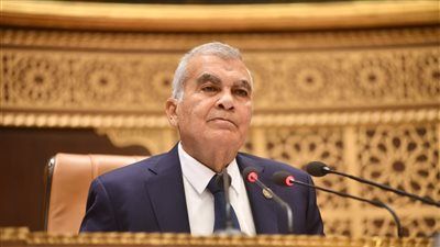 ملفات متشابكة... مجلس الشيوخ يفتح ملفات الصحة والبنية التحتية والتعليم في جلسة شاملة متعددة الأولويات - الخليج الان