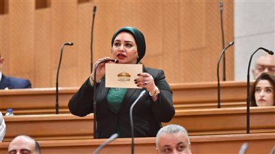 النائبة سولاف درويش تطرح 6 محاور لإعادة تشكيل سوق العمل أمام وزير العمل الجديد - الخليج الان