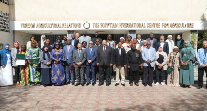 بمشاركة 14 دولة.. "الزراعة" تختتم برنامج تمكين المرأة الأفريقية عبر المشروعات الصغيرة - الخليج الان