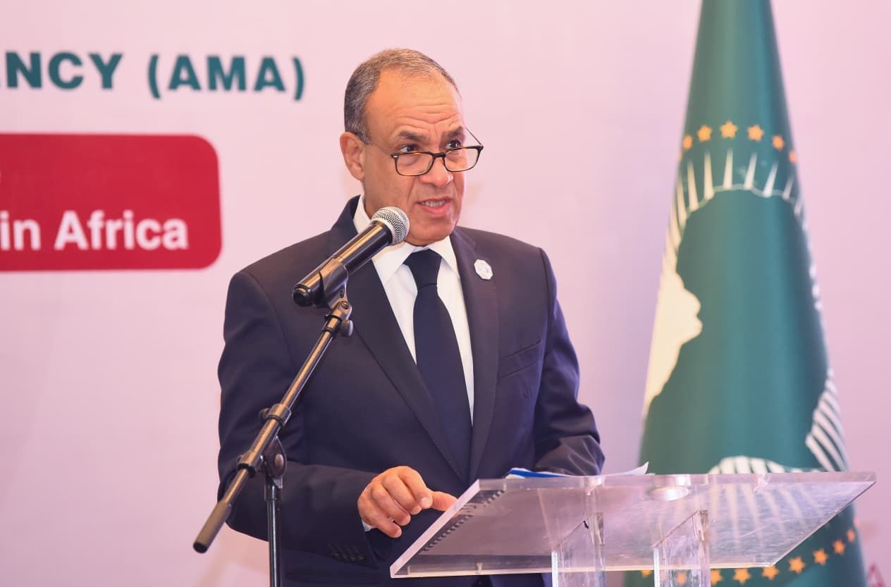 «بتوجيهات من السيسي».. وزير الخارجية يطرح رؤية مصر الشاملة لتعزيز التصنيع الدوائي والأمن الصحي في أفريقيا - الخليج الان