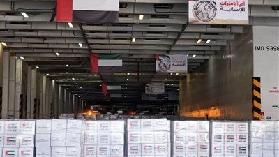 الإمارات: نشكر مصر على ما تقدمه من دعم وتسهيلات لوجستية لإيصال المساعدات إلى غزة - الخليج الان