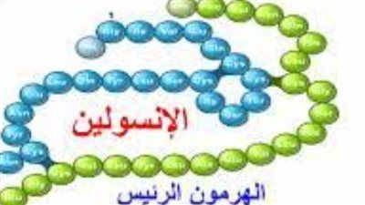 معجزة طبية منذ 1400 عام كشفها عالم ياباني..أقوي نظام لحماية الجسم من السكر بنسبة 40% - الخليج الان