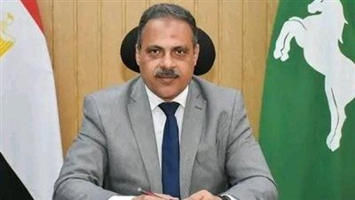 محافظ الشرقية يعتمد المخططات الإستراتيجية لـ ١٢٠ قرية بنطاق المحافظة - الخليج الان