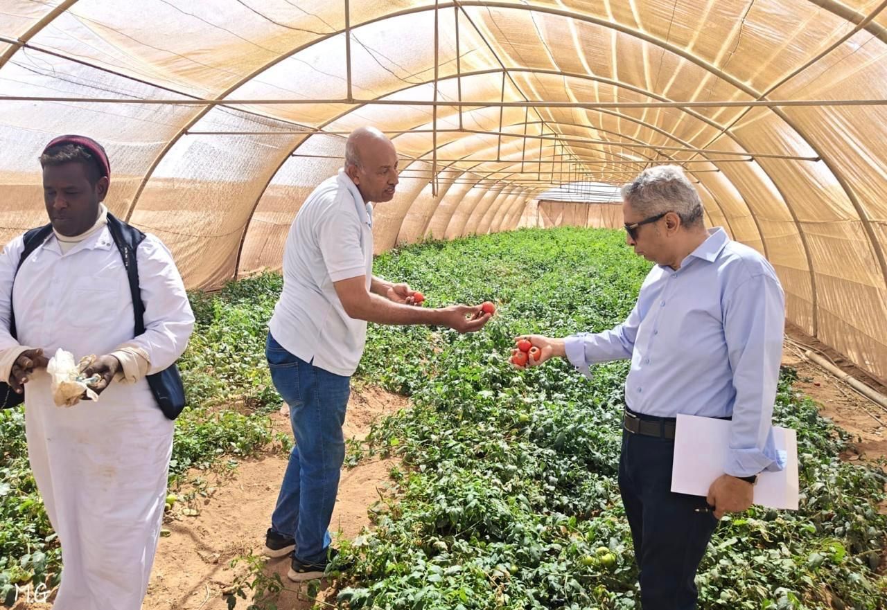 "بحوث الصحراء" يواصل جهود تعزيز التنمية الزراعية بمثلث حلايب والشلاتين - الخليج الان