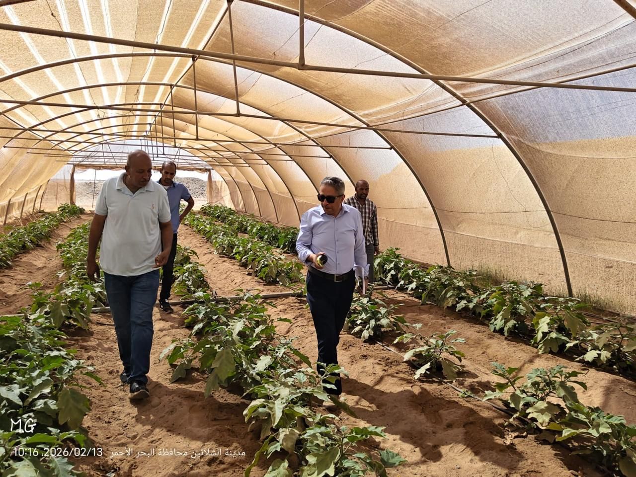 "بحوث الصحراء" يواصل جهود تعزيز التنمية الزراعية بمثلث حلايب والشلاتين - الخليج الان