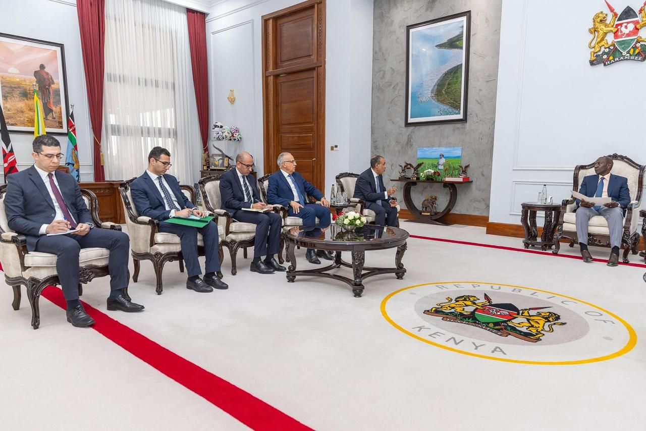 وزير الخارجية: يجب تعزيز التعاون والتكامل بين دول حوض النيل لتحقيق المنفعة المشتركة - الخليج الان