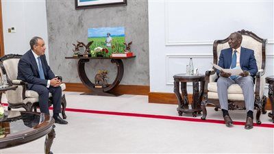 وزير الخارجية: يجب تعزيز التعاون والتكامل بين دول حوض النيل لتحقيق المنفعة المشتركة - الخليج الان