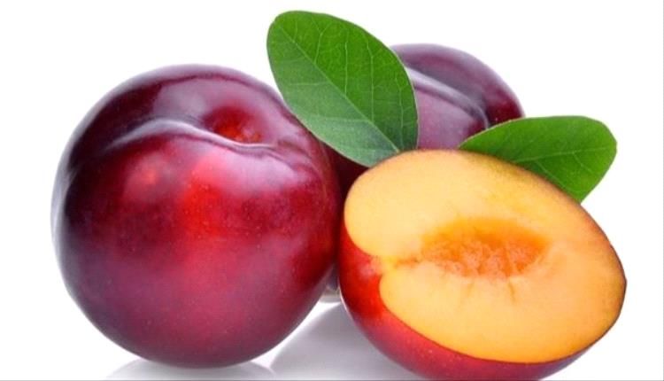 أبرزها البرقوق.. أطعمة غنية بالحديد تُعزز طاقة الجسم