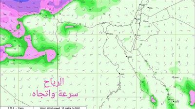 نصائح لمرضى الحساسية لتجنب حدوث مضاعفات خلال نهار رمضان.. فيديو - الخليج الان