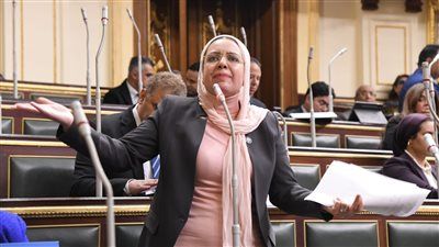 الأحد.. البرلمان يناقش طلب مناقشة عامة للنائبة ريهام عبد النبي عن سياسة الحكومة بشأن الخطة الاقتصادية والاجتماعية - الخليج الان