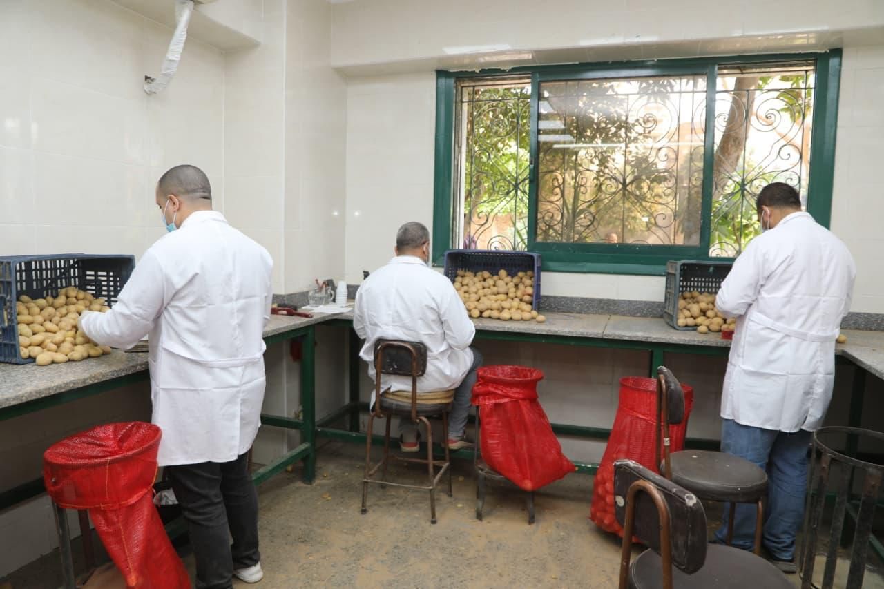 وزير الزراعة ومحافظ الجيزة يفتتحان المعمل المركزي لفحص ومراقبة وتصدير البطاطس - الخليج الان