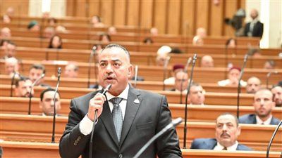 "تشريعية النواب" تناقش اليوم طلب إحاطة للنائب علي عبد الونيس بشأن إنشاء محكمة - الخليج الان