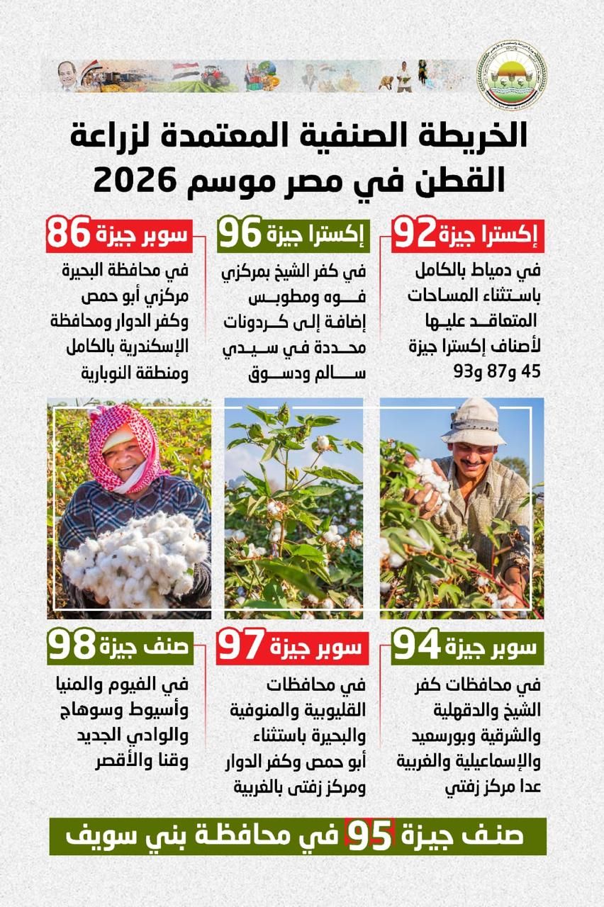 مبكرة النضج وموفرة للمياه.. "الزراعة" تعلن خريطة أصناف القطن المعتمدة لموسم 2026 - الخليج الان