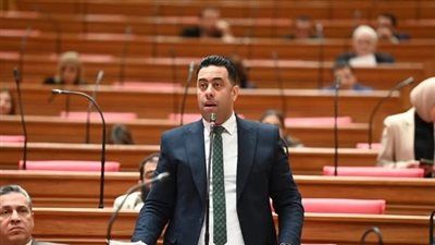 النائب أحمد فرغلي: التأمين الصحي الشامل يعرض حياة مرضى زراعة الكلى والغسيل الكلوي والسكري للخطر - الخليج الان