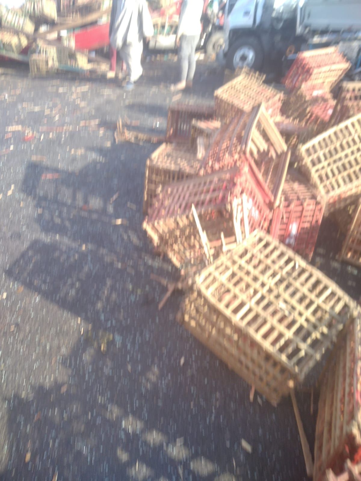 تصادم مروع بين سيارتي نقل بالأقصر.. مصرع شخصين وإصابة 14 عاملًا بالطريق الصحراوي - الخليج الان