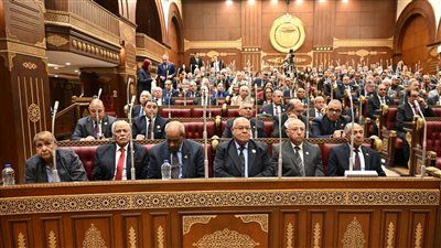 لجنة الإسكان بمجلس الشيوخ تناقش عدالة توزيع الإسكان الاجتماعي وخفض فائدة التمويل العقاري وإنشاء كوبري بمدينة السرو - الخليج الان