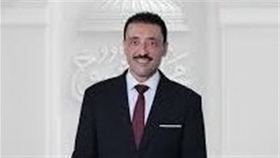 النائب محمد رزق: التضامن الكامل مع دول الخليج موقف راسخ وثابت للدولة المصرية - الخليج الان