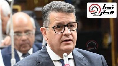 طارق رضوان: جولة الرئيس السيسي الخليجية تؤكد وحدة المصير العربي وتعزز التنسيق لمواجهة التحديات - الخليج الان