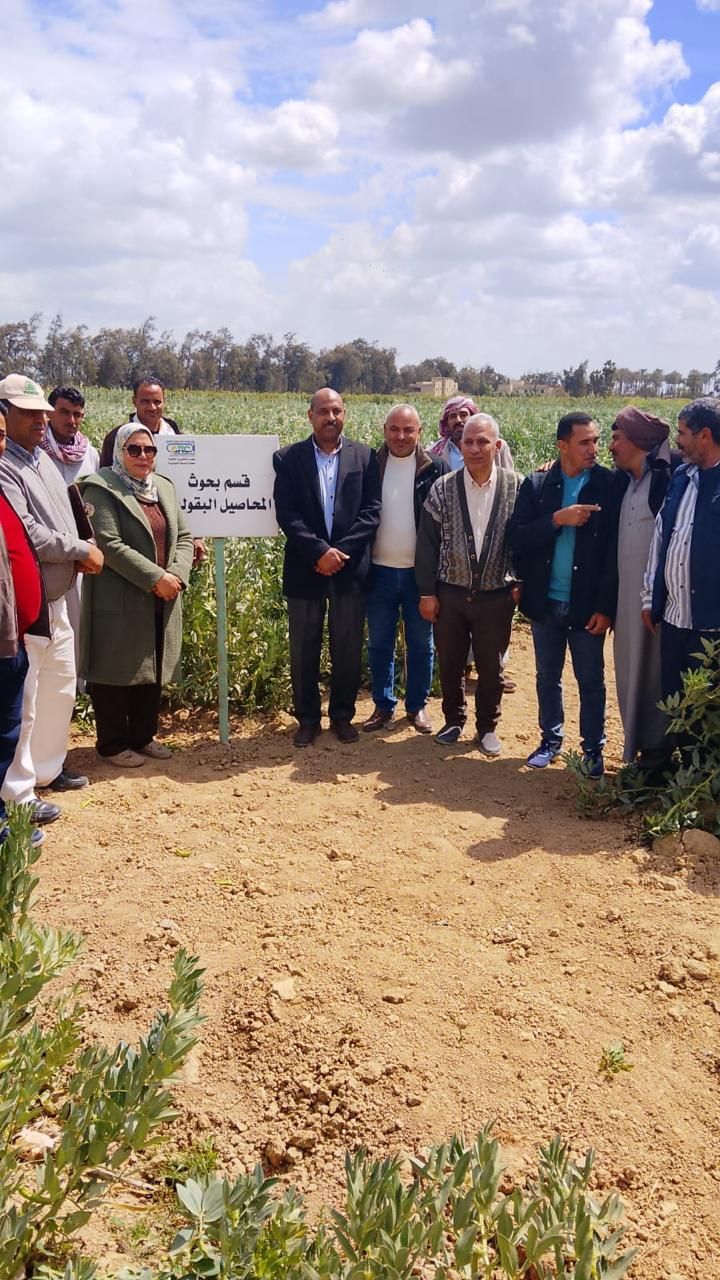 «الزراعة» تتابع إنتاج التقاوي والمحاصيل الاستراتيجية بمحطة النوبارية - الخليج الان