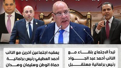 اجتماعات طارئة داخل البرلمان.. تليجراف الخليج ينفرد بتفاصيل لقاءات رئيس النواب مع الهيئات واللجان.. الأربعاء والخميس - الخليج الان