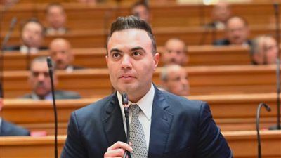 النائب أحمد إبراهيم البنا: التحركات المصرية تجنب المنطقة اتساع الصراع وتنزع فتيل الأزمة - الخليج الان