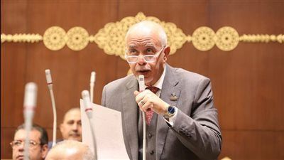 النائب حازم الجندى : مصر في قلب جهود الوساطة الدولية لوقف التصعيد بالمنطقة - الخليج الان