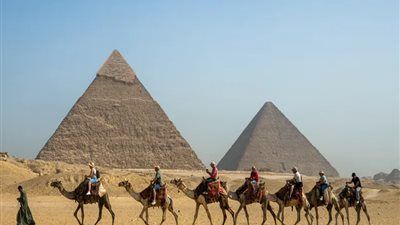 إجراءات رادعة لكل المخالفين لضوابط تأجير الدواب بالمناطق السياحية في الجيزة - الخليج الان