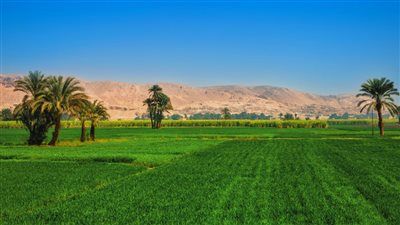 المهلة النهائية لتسوية أوضاع الأراضي المملوكة للدولة - الخليج الان