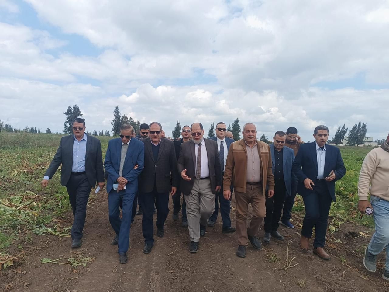 "البحوث الزراعية" يفتتح يومًا حقليًا لتقييم أصناف بنجر السكر بكفر الشيخ دعما للأمن الغذائي - الخليج الان