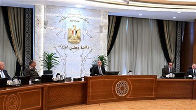 مجلس الوزراء يُوافق على كتاب دوري بشأن الالتزام بالمعايير والمواصفات الخاصة بتحسين كفاءة الطاقة - الخليج الان