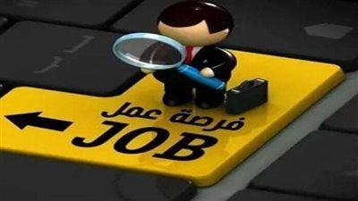 فرصة ذهبية للموظفين الحكوميين.. الجمارك تعلن عن 1030 وظيفة بشروط حاسمة وموعد نهائي للتقديم - الخليج الان