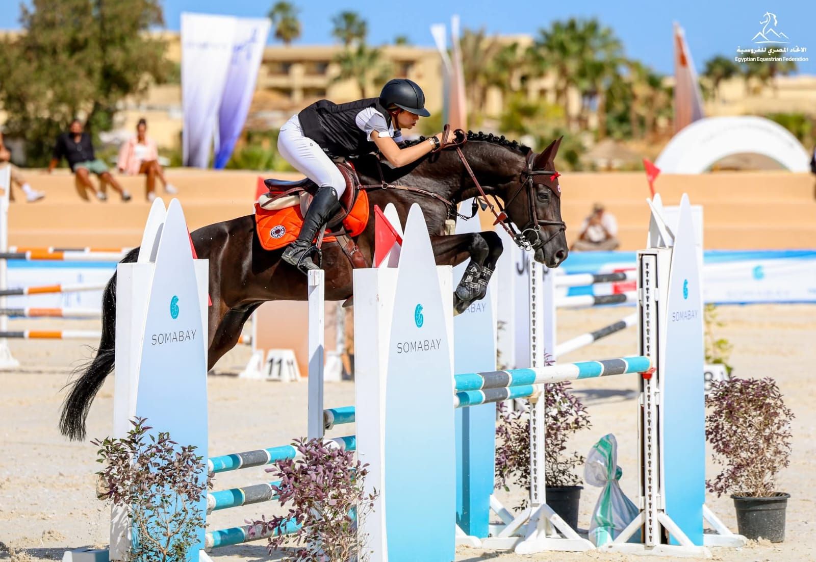 لي لي حسن تحصد ذهبيتين في كأس مصر للفروسية 2026 - الخليج الان