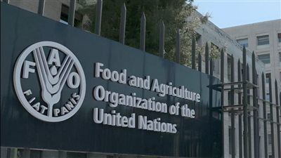 «أزمة هرمز».. الفاو: توترات الشرق الأوسط تهدد سلاسل إمداد الغذاء والطاقة العالمية - الخليج الان