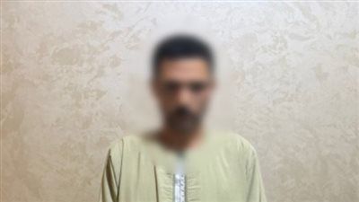 توفير مواد بناء بأسعار مخفضة.. ضبط عنصر إجرامي تخصص في النصب على المواطنين - الخليج الان