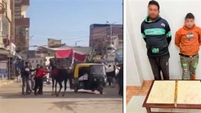بيأجروه للأطفال.. ضبط عامل وابنه تعديا على حصان بشومة في الغربية - الخليج الان