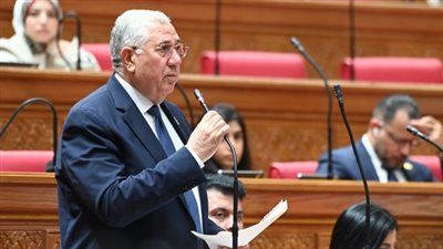 السيد القصير: البيان المشترك لمجلسي النواب يجسد وحدة الصف الوطني ودعم مصر الكامل للأشقاء العرب - الخليج الان