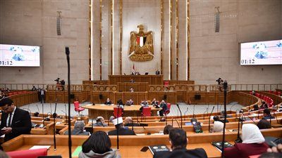 نواب يشيدون بضبط عناصر «حسم» ويؤكدون: مصر نجحت في دحر الإرهاب - الخليج الان