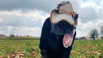 مفيش دخل تاني .. حكاية الحاجة هدي والعمل في الأراضي لإعالة أسرتها بكفر الشيخ - الخليج الان