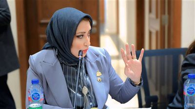 النائبة أماني أبو اليزيد: موافقة لجنة التضامن على تعديل تعريف المعاق بالقانون انتصار لكرامة الأشخاص ذوي الإعاقة - الخليج الان