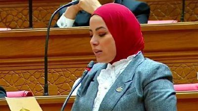 خلال الجلسة العامة للبرلمان.. النائبة آية عبد الرحمن تطالب بتوضيح عائد القروض للمواطن: ماذا استفدنا؟ - الخليج الان