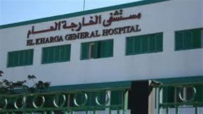 الوادي الجديد على أعتاب مرحلة جديدة من التنمية والخدمات المتكاملة - الخليج الان