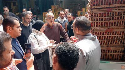 ضبط كارثة غذائية بالمنصورة.. التحفظ على 1.25 طن دواجن نافقة داخل مخزن غير مرخص - الخليج الان