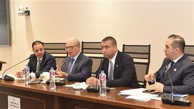 ردًا على النائب طاهر الخولي.. نائب رئيس الوزراء من لجنة الصناعة: لا تصفية للشركات بعد إلغاء وزارة قطاع الأعمال - الخليج الان