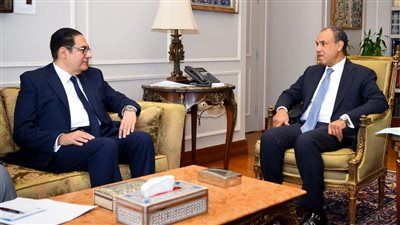 وزير الخارجية يبحث مع رئيس جامعة القاهرة احتفالية يوم أفريقيا - الخليج الان