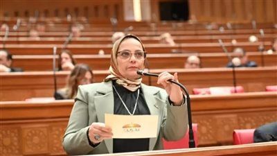 نجلاء العسيلي: قانون إعدام الأسرى وصمة عار دولية ويهدد بتصفية القضية الفلسطينية - الخليج الان